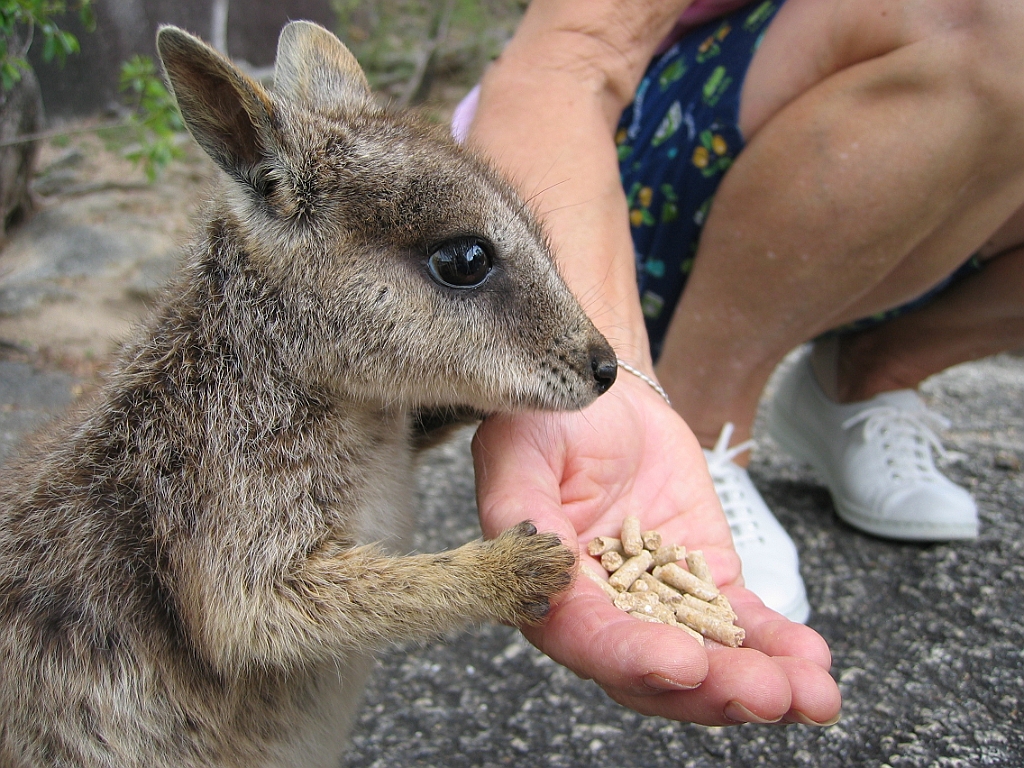 105 Granite Gorge.jpg